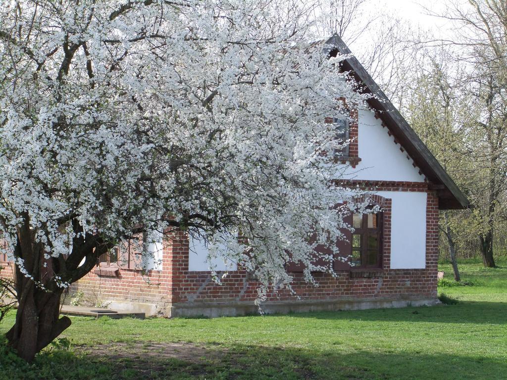 Villa Sodyba Suvernu Kaime Ventė Zimmer foto